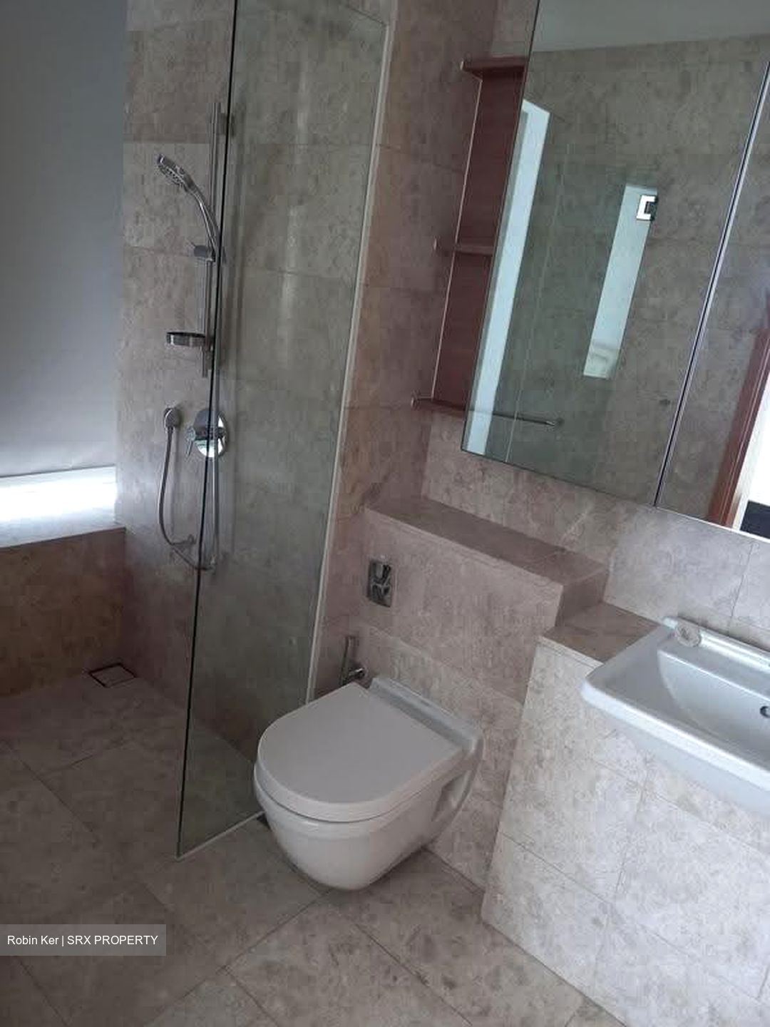 Soleil @ Sinaran (D11), Condominium #625910891
